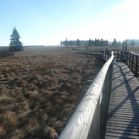 Le Fournil Gite Rural Trois-Ponts Zewnętrze zdjęcie