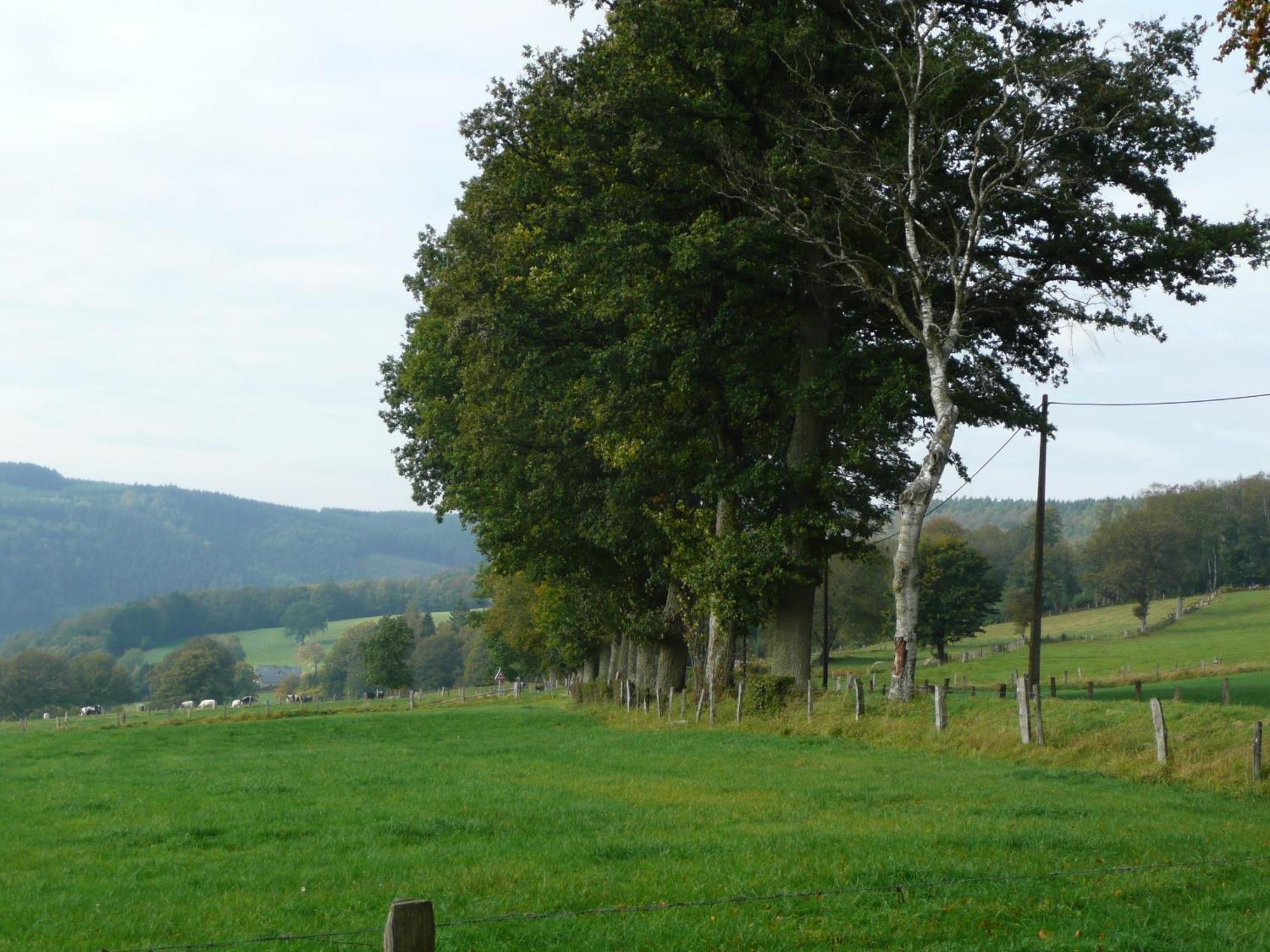 Le Fournil Gite Rural Trois-Ponts Zewnętrze zdjęcie
